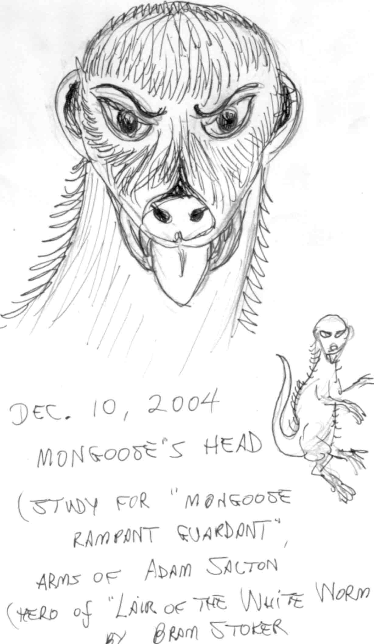 SUBJECT: Mongoose head guardant, study 1 


SCANNER:  Hewlett-Packard HP-4100C
FILE:

  JPEG from HP PrecisionScan LT
EDITING:

  Adobe Photoshop